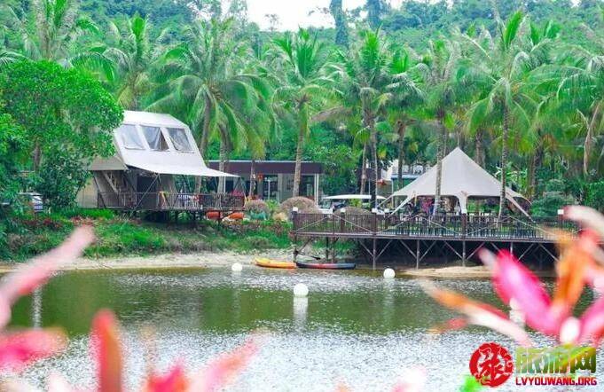 海岛星空下的N种打开方式！冰球突破海南露营全攻略探寻