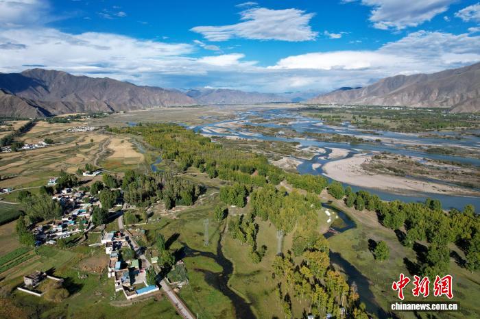 到“打卡地” 神秘树林带火乡村经济冰球突破豪华版走进中国乡村）从荒滩(图3)
