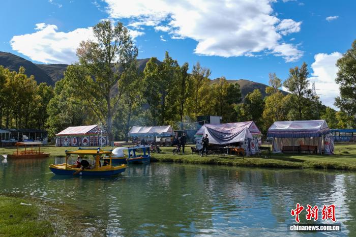 到“打卡地” 神秘树林带火乡村经济冰球突破豪华版走进中国乡村）从荒滩(图2)