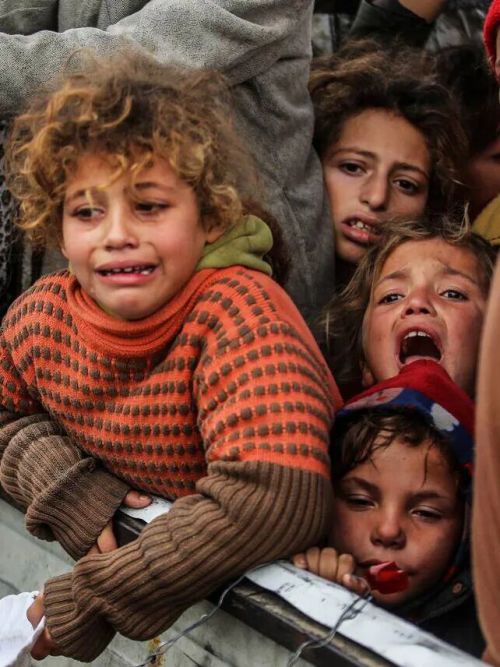 灭计划以色列留地不留人冰球突破正规网站加沙毁(图3)