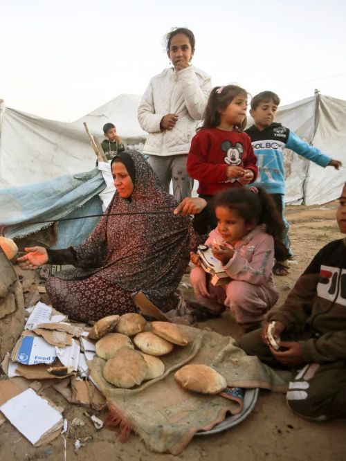 灭计划以色列留地不留人冰球突破正规网站加沙毁(图5)