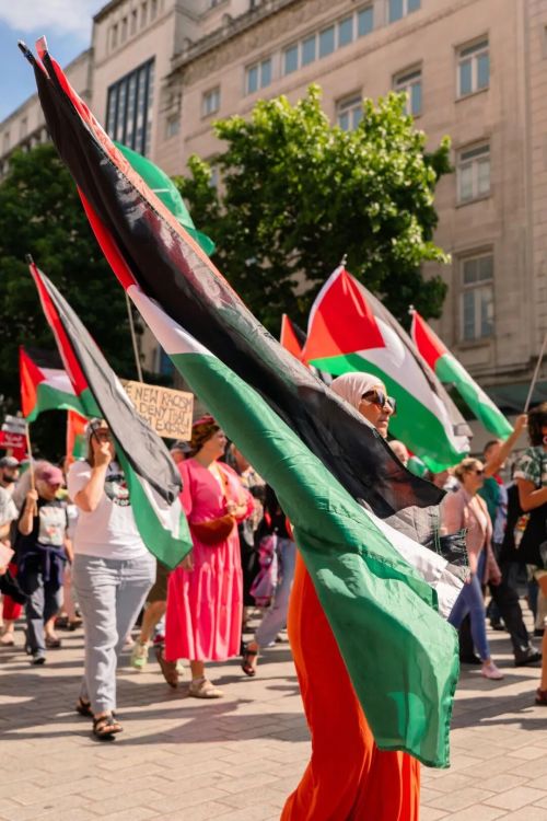 灭计划以色列留地不留人冰球突破正规网站加沙毁(图12)