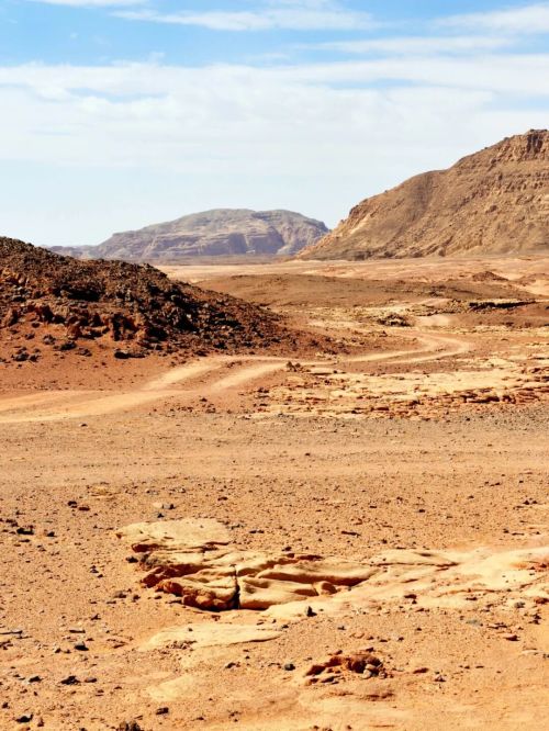 灭计划以色列留地不留人冰球突破正规网站加沙毁(图19)